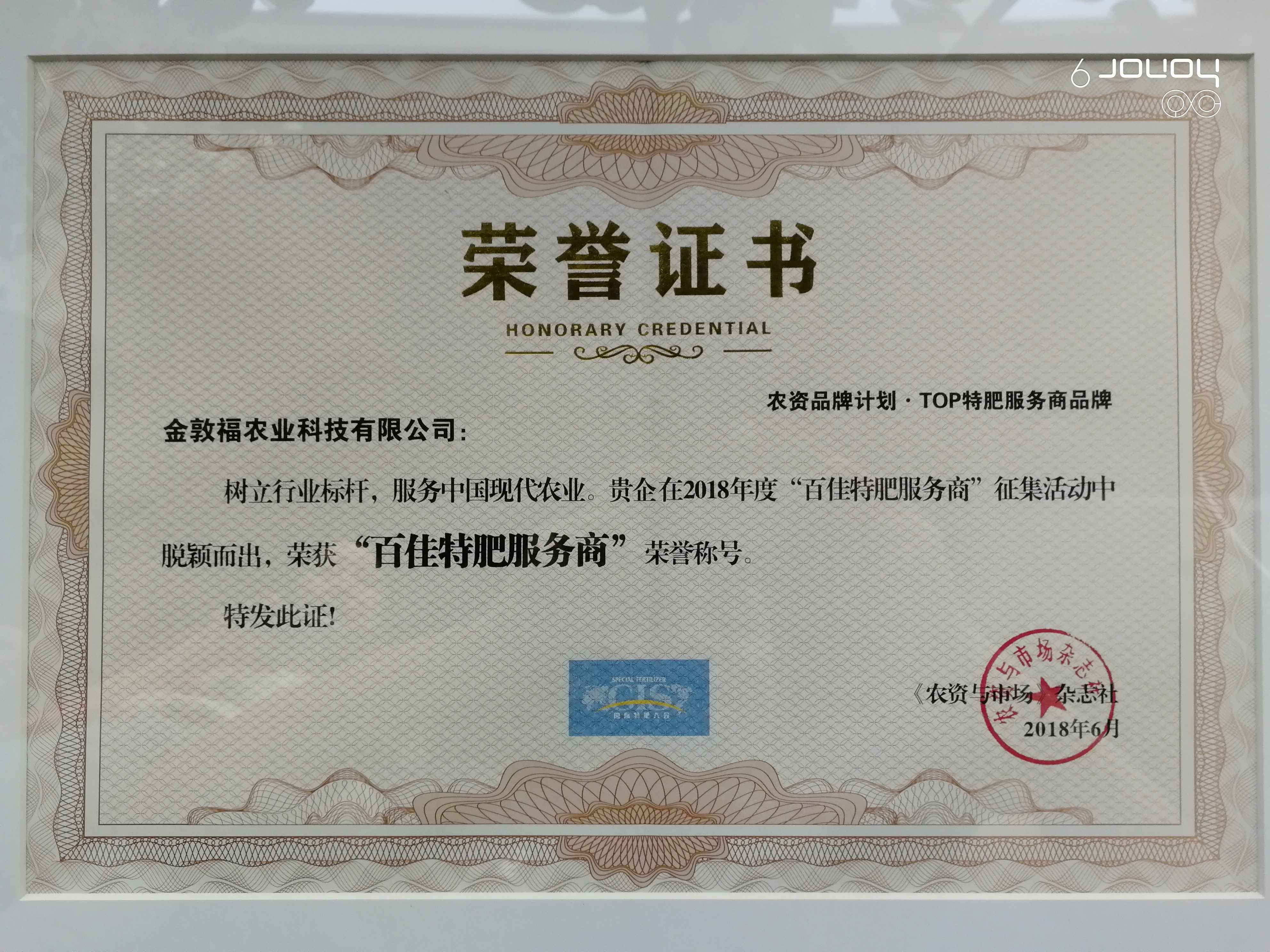 金敦福 | 创立可一连莳植业