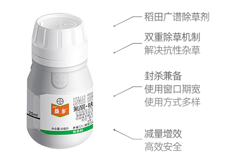 8868体育官方网站-最新体育赛事直播平台