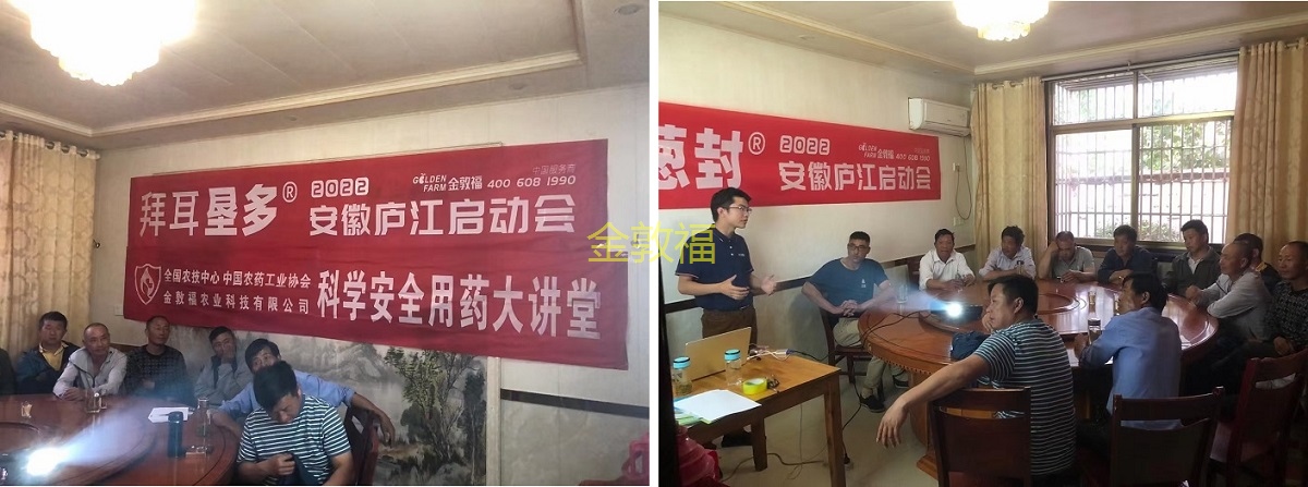 8868体育官方网站-最新体育赛事直播平台