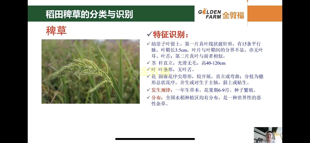 8868体育官方网站-最新体育赛事直播平台
