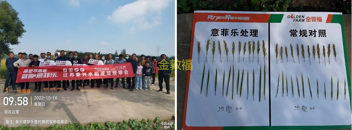 8868体育官方网站-最新体育赛事直播平台