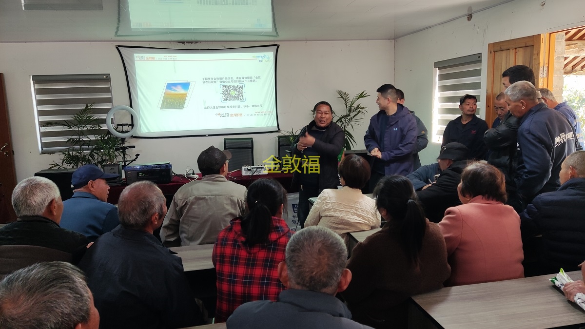 8868体育官方网站-最新体育赛事直播平台