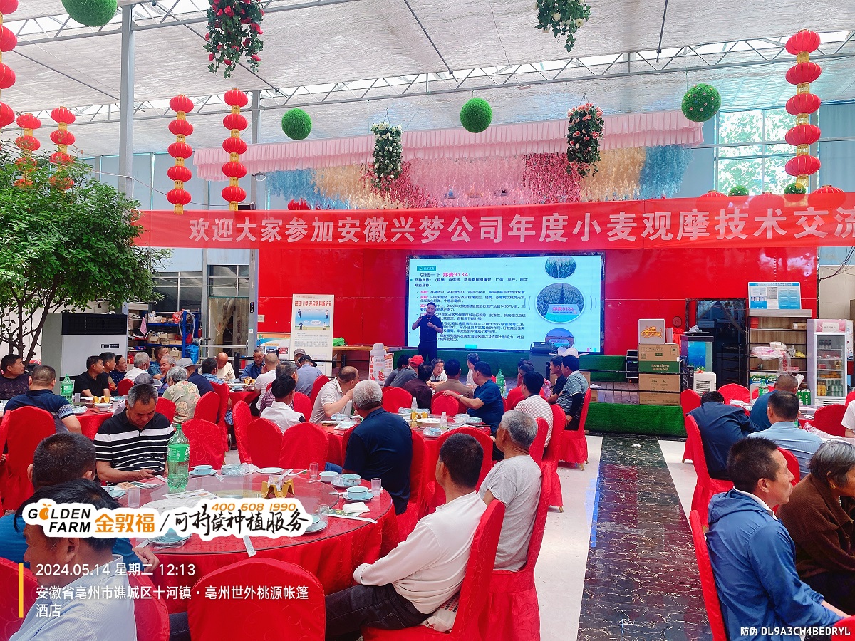 8868体育官方网站-最新体育赛事直播平台