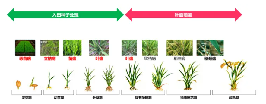 8868体育官方网站-最新体育赛事直播平台