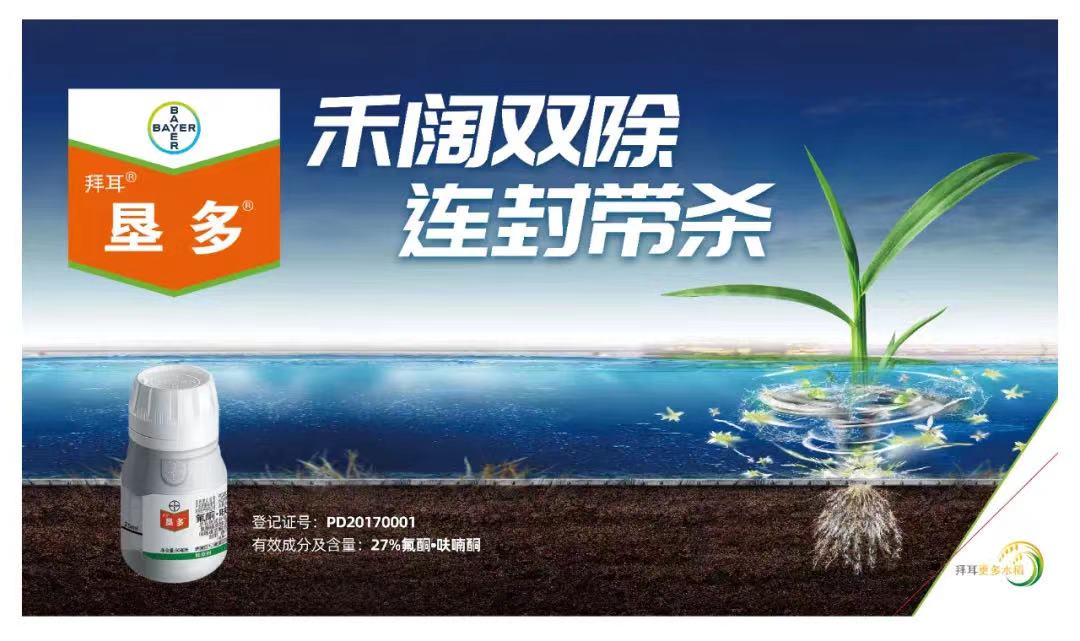 8868体育官方网站-最新体育赛事直播平台