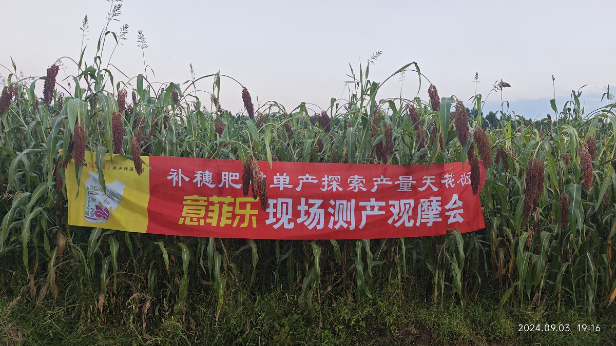 8868体育官方网站-最新体育赛事直播平台
