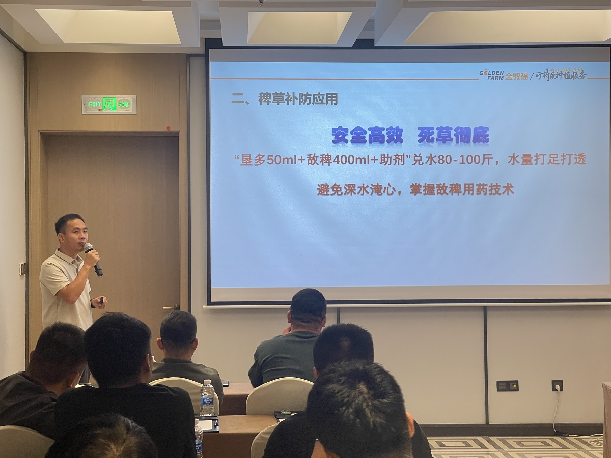 8868体育官方网站-最新体育赛事直播平台