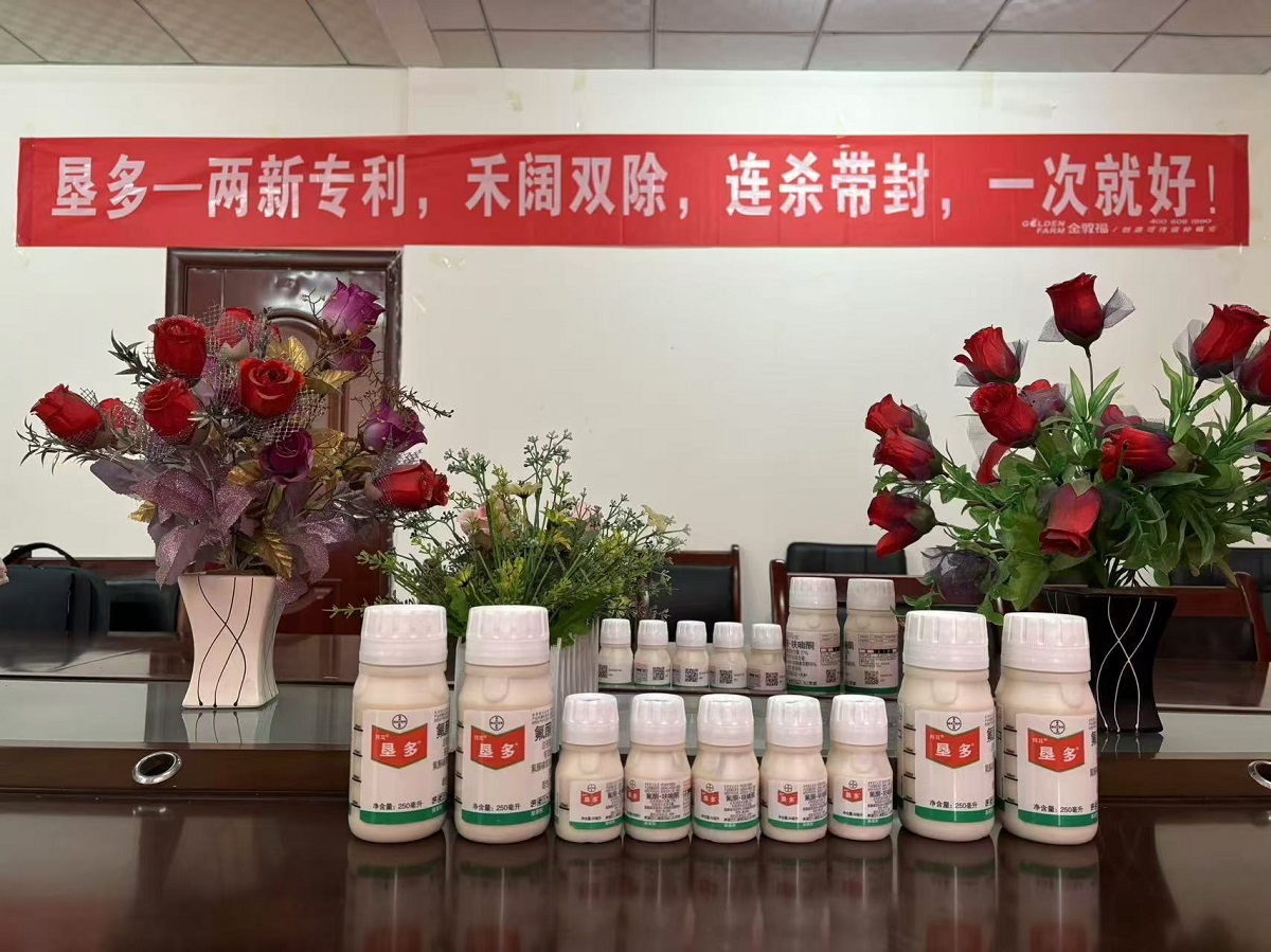 8868体育官方网站-最新体育赛事直播平台