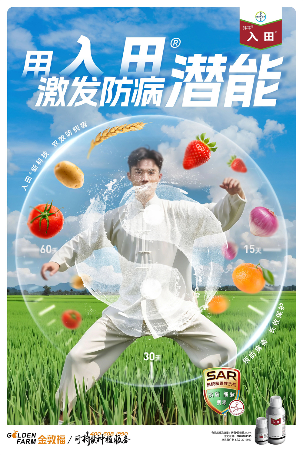 金敦福 | 创立可一连莳植业